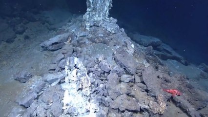 바닷속 미생물로 친환경 수소에너지 생산 / YTN