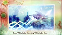 Details On Forex White Label Solutions