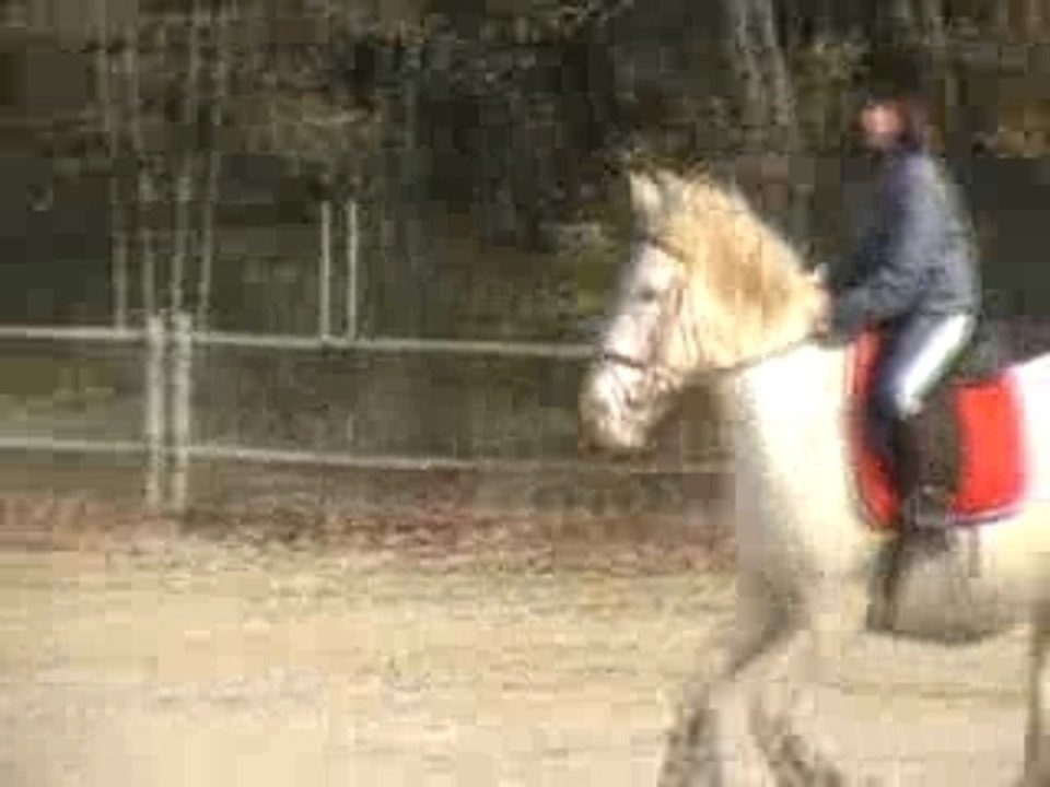 MOV055