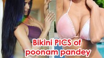 Unseen pics of poonam pandey in bikini