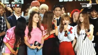Red Velvet Irene - Try Not To Fangirl_Fanboy Challenge-GKoQfd-P22c