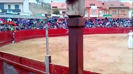 Un taureau envoie voler un torero