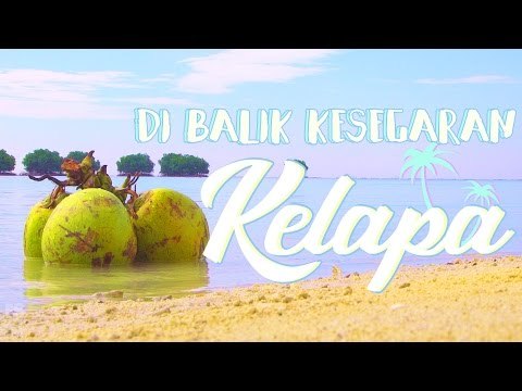 Fakta Di Balik Kesegaran Kelapa