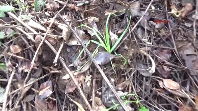 Adana Öldürdüğü Kadın Cesedi ile 900 Kilometre Yolculuk Yapan Katil, Daha Önce de Cinayet İşlemiş