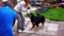 Dogs Meets Owner After Long Time ★ TRY NOT TO CRY (HD) [Funny Pets]