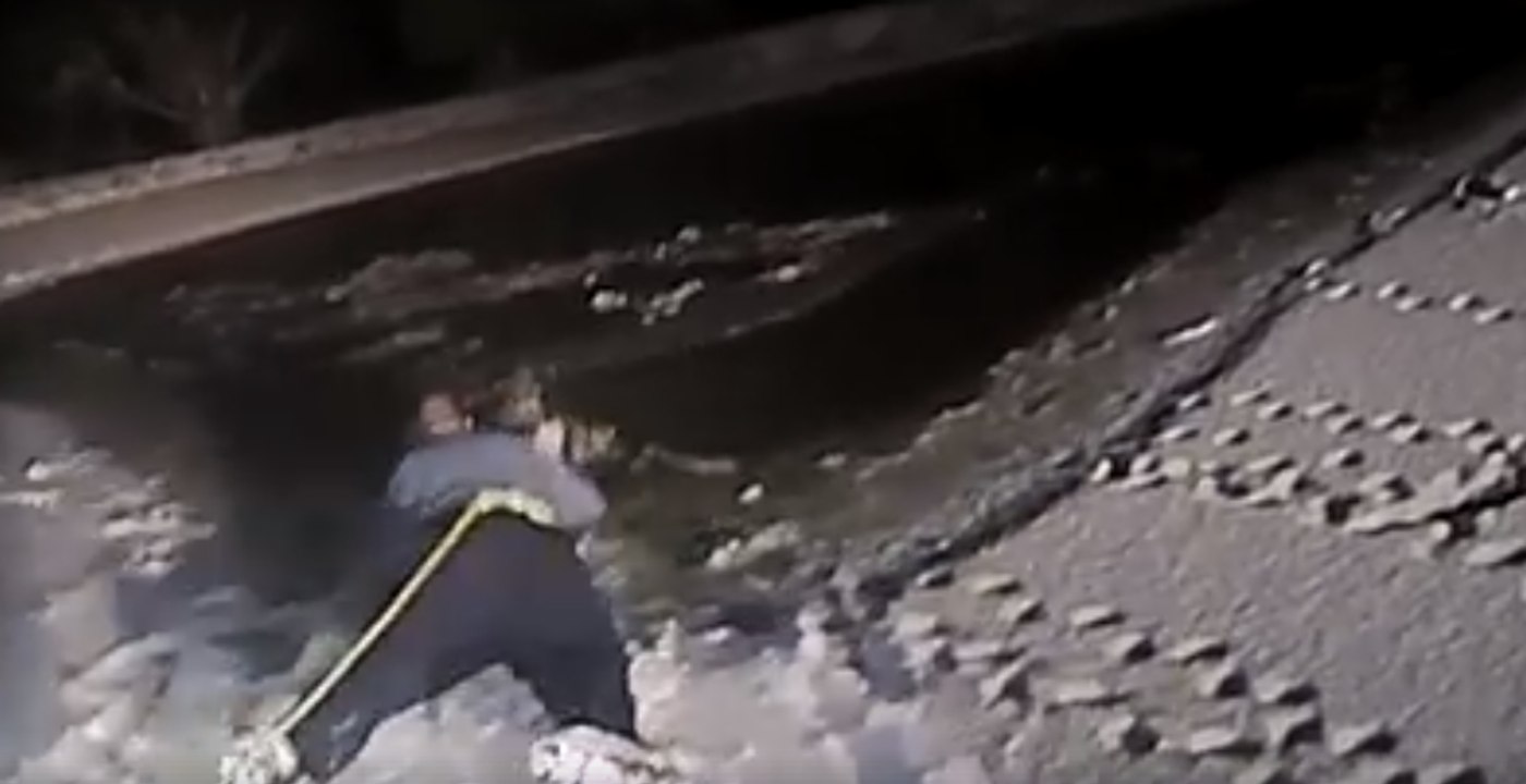 New Jersey Police Rescue Dog That Had Fallen Through Ice