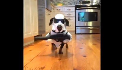 La nouvelle obsession d'internet : Le chien Star Wars