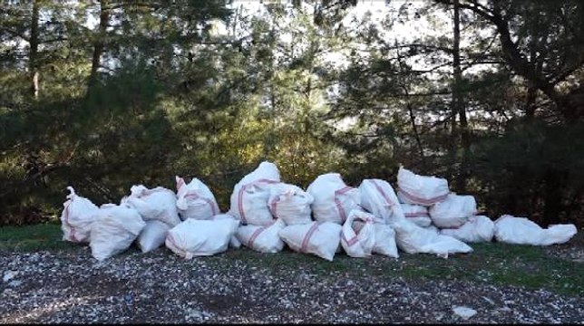 Turizm Cenneti Marmaris'te Doğa Katliamı! Çöp Kutuları Parçalandı, Orman Yolları Çöplüğe Döndü