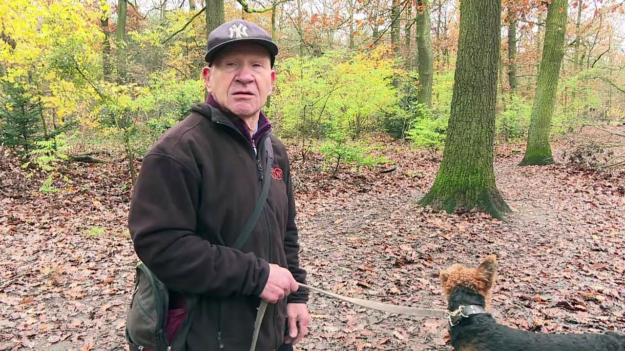 Wildschweine erobern Berlin