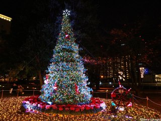 [Nyûsu Show] Illuminations à Yokohama