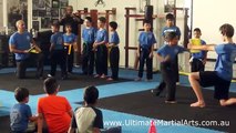 Kids Martial Arts - Li'l Tigers Demo, Ultimate Martial Arts Academy Open House