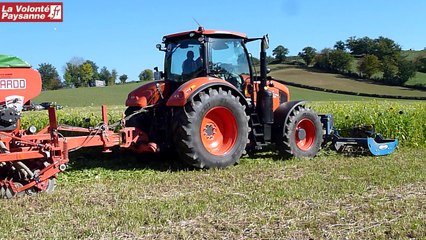 Essai couvert végétal Olemps