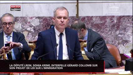 Migrants : La députée LREM, Sonia Krimi, tacle Gérard Collomb, avant de se raviser (vidéo)