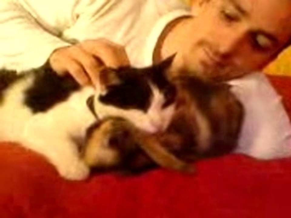 calin sengha et lilo