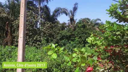 Ne fermons pas les yeux: L'agonie des villages balnéaires