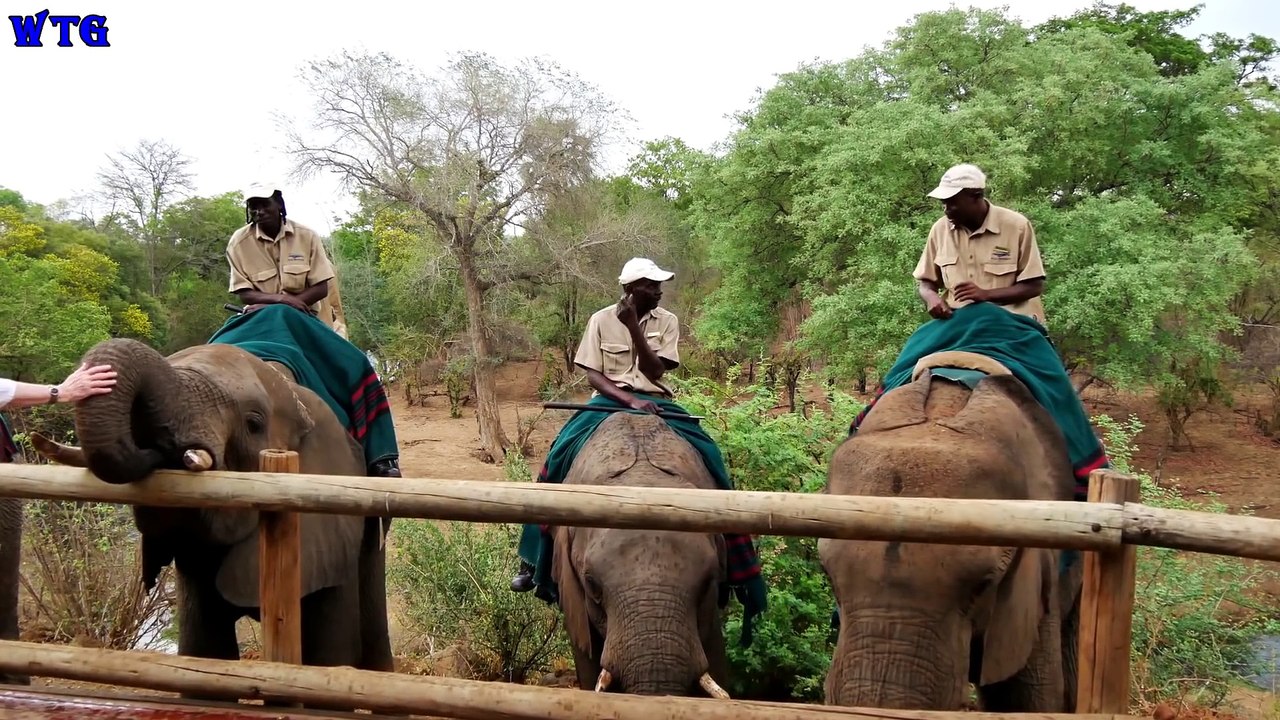 Chobe National Park Safari 2017_