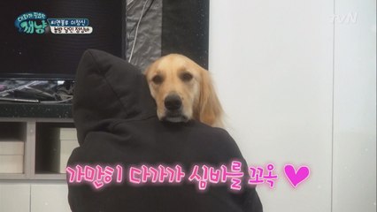 오늘도 사랑이 넘치는 정신이네♥