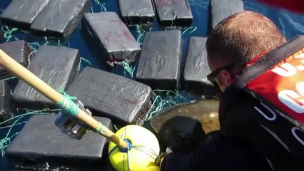 Coast guard rescue turtle trapped in 800kg of cocaine