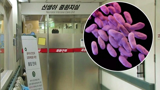 항생제 듣지 않는 슈퍼박테리아...사인 규명 단서될 가능성 있어 / YTN