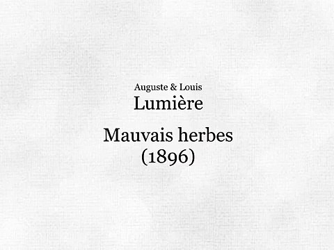 Mauvaises herbes (1896)