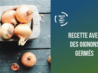 Recette : que faire avec des oignons germés ?
