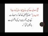 Top 40 Best Collections of hikayat e saadi urdu ! Hindi - Urdu Quotes of Sheikh Saadi