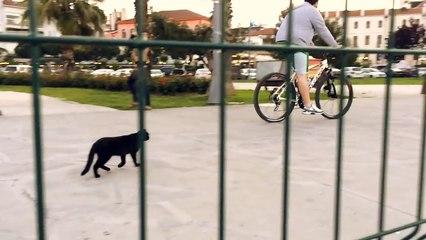 Rubato - Haziran / Bir yol hikayesi...