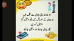 best collection of  husband wife jokes in hindi and urdu !Very Very Very Jokes~ Husband Wife Jokes