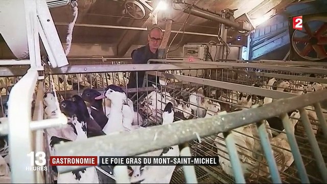 Gastronomie : le foie gras du Mont-Saint-Michel