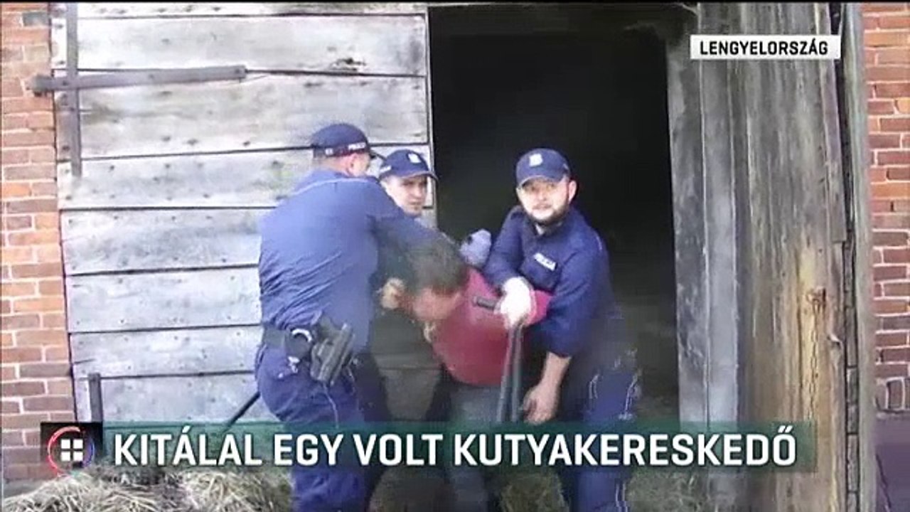 Megszólalt egy volt ebkereskedő