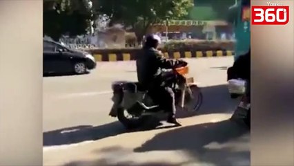 Skene prekese/ Qeni besnik refuzon te largohet nga trupi i pajete i te zotit (360video)