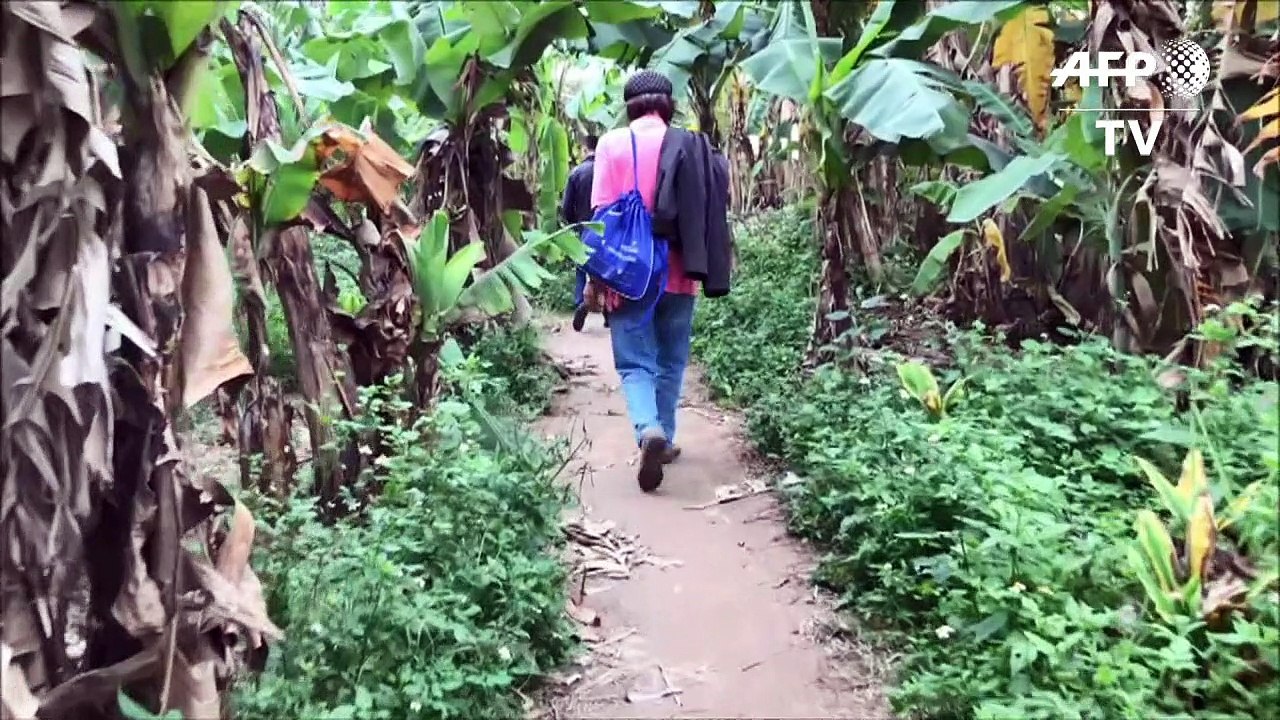 Nudismo contra o estresse