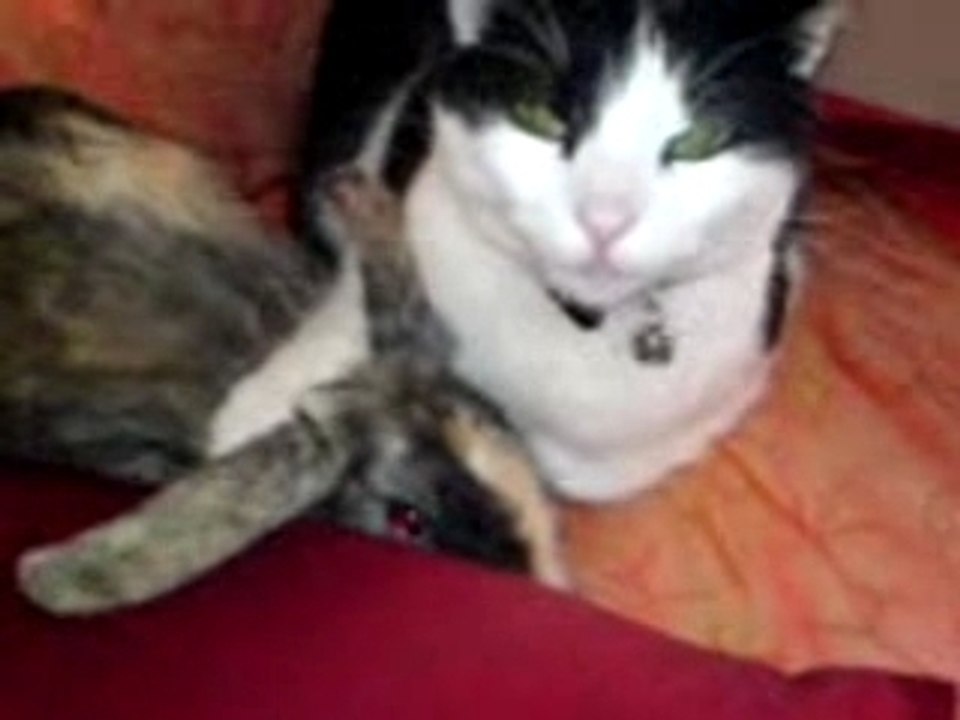 Sengha et Lilo bisou