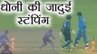India Vs Sri Lanka 1st T20: MS Dhoni magical stumping gives Chahal a wicket on wide-ball | वनइंडिया