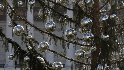 Римляне недовольны ёлкой — опять