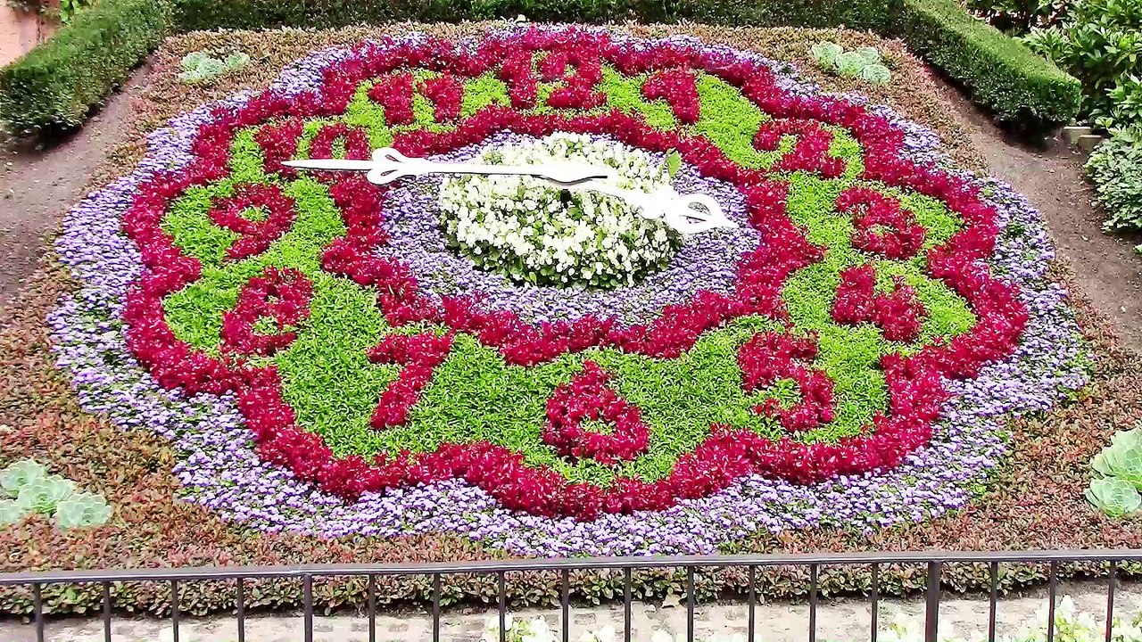 Auf großer Tour durch Zittau 2017 – 1