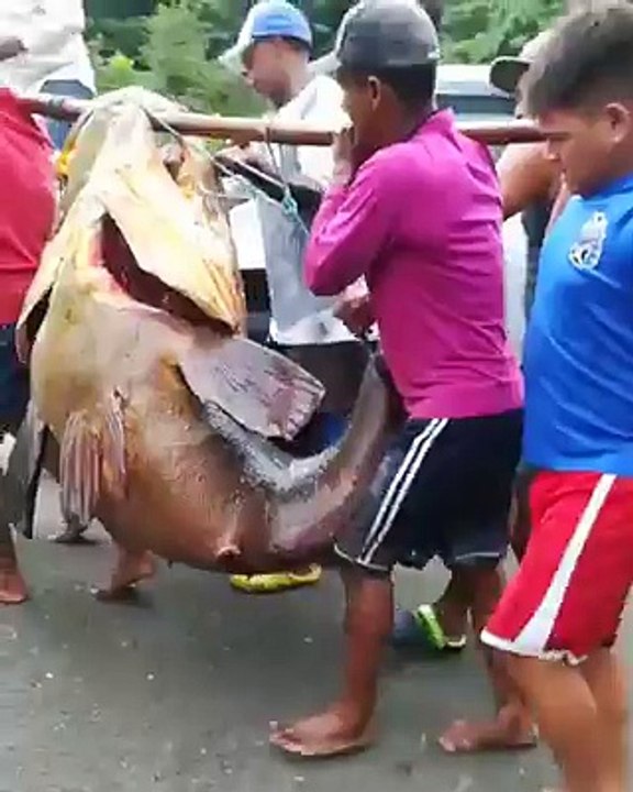 INSIDER THAILAND-What a big fish