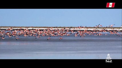 Perú - Medioambiente - Dakar 2018