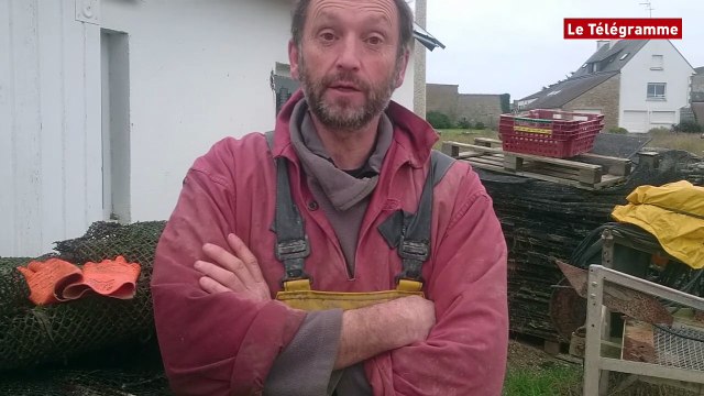 Carnac (56). Huîtres : la qualité sur les tables de Noël