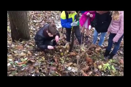 REK´s movie for Erasmus+ project Environmentally Friendly Cranberries and Innovative Tablets .