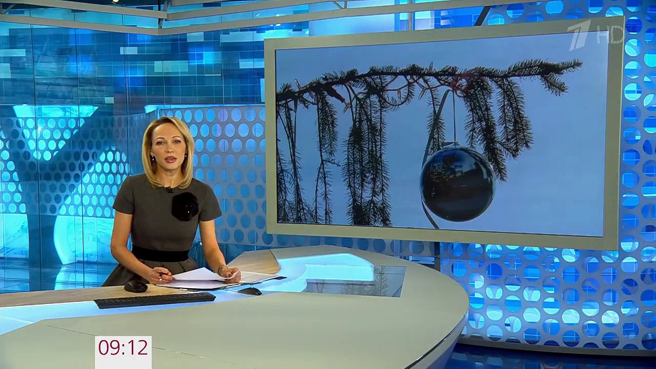 Облезлая ель в центре Рима