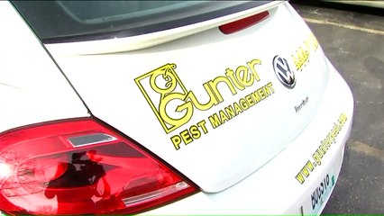 At 89-Years-Old, Man Running Pest Control Company Isn`t Ready to Retire