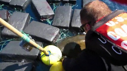 Üzerinde 800 kilogram kokainle yakalanan deniz kaplumbağası!