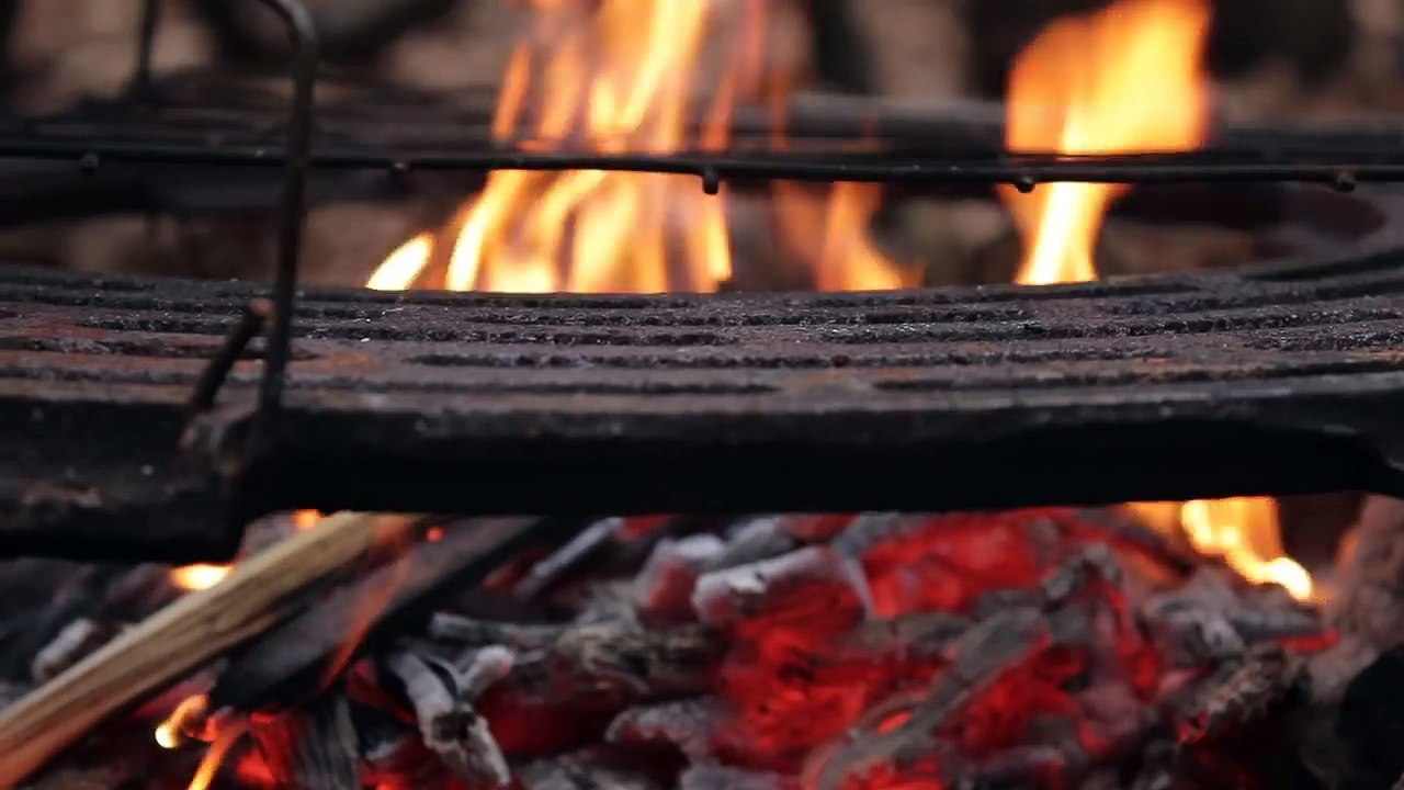 Building an Imperfect Cabin in the Wilderness for Free - Recycled Pallet Wood Project