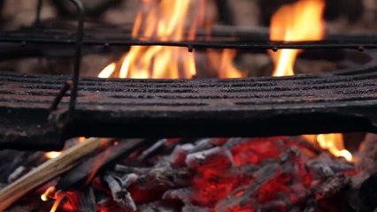 Building an Imperfect Cabin in the Wilderness for Free - Recycled Pallet Wood Project
