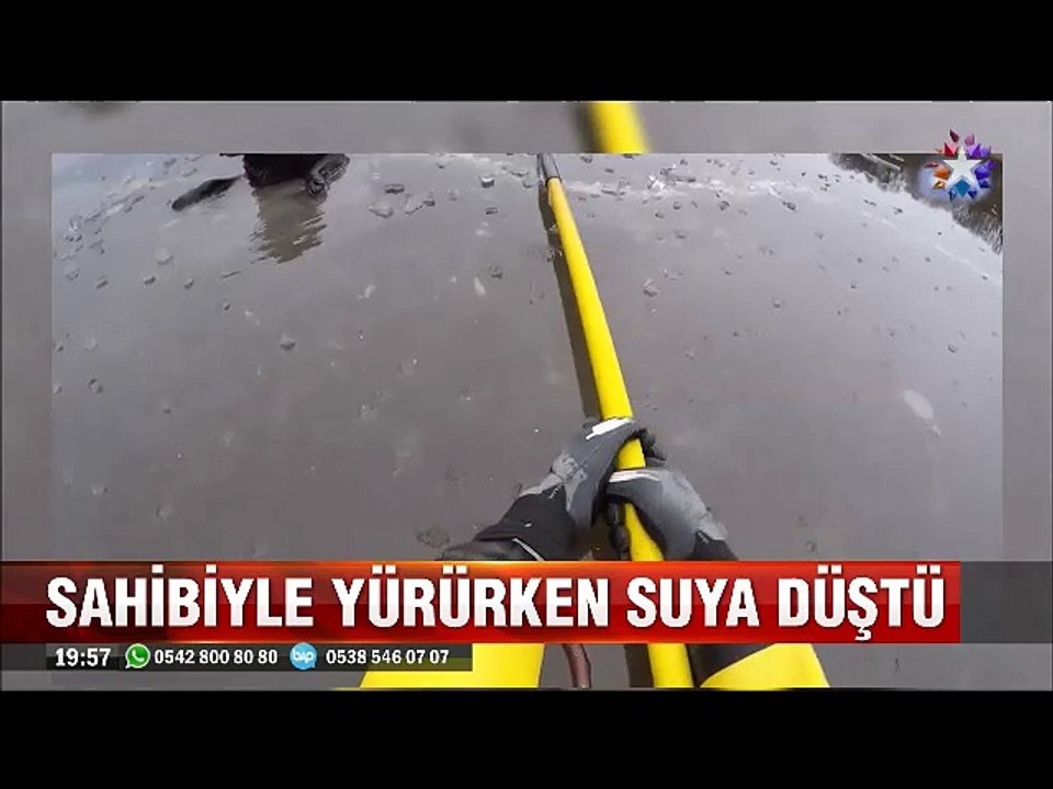Buz tutan nehirde gücü tükenen köpeği kurtaran kadın itfaiyeci