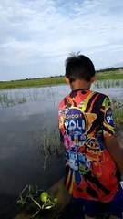 Banjir di Tawia adalah banjir terbaik yang pernah ada