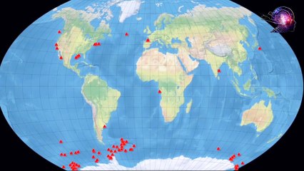 Stygiomedusa Gigantea - Denizdeki En Büyük Canlı