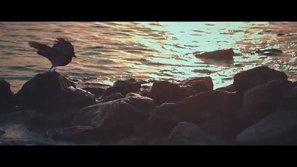 Bora Öztoprak - Cümle Yalan (Official Video)