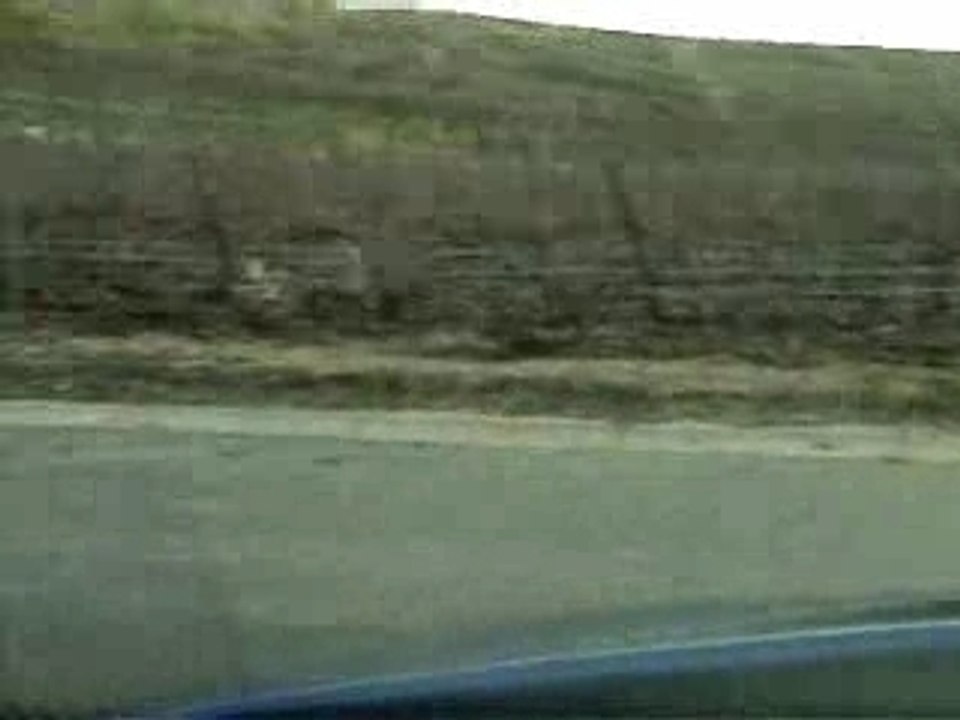 Focus ST
